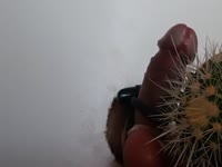 Guy with extreme bdsm tendencies ties up his own cock and punishes it with cactus needles
